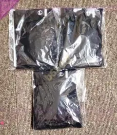 Item thumbnail for item 3895499d-f075-459c-a2ec-044cca243d8a