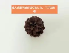 どんぐりアート
