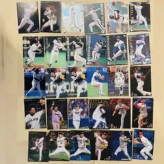 カルビー プロ野球チップス カード 30枚 専用ファイル付