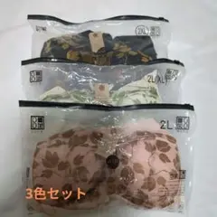 2Lサイズ ブラ ノンワイヤー ナイトブラ リーフ 大きいサイズ 3色セット