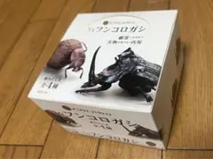 1box ４つ入りソータ　フンコロガシ1/1 未開封　いきもの大図鑑
