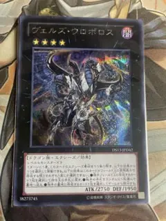 ヴェルズウロボロス　シークレット　DS13