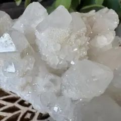 カクタス⭐︎ミルキークォーツ