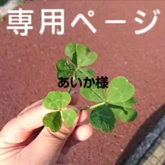 エッフェル塔のピアス