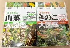 Item thumbnail for item d02e874d-c712-4105-b018-6c71a72b2a23