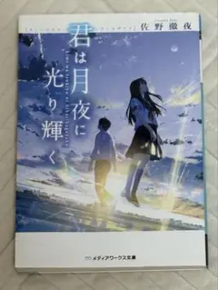 君は月夜に光り輝く