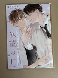 藤咲ねねば コミコミ 特典 小冊子