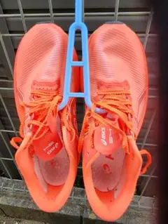 Item thumbnail for item 96e4d6ed-f092-434c-90f4-02df015ae830