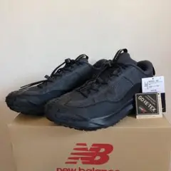 NIKE ACG ナイキ　マウンテン フライ 2 ロー ゴアテックス　BLACK