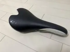 フィジーク アリアンテ