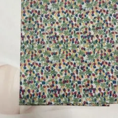 Item thumbnail for item 481b1682-f460-4be8-82f1-db9095939ab1