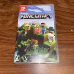 Minecraft Switch版