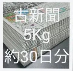 古新聞【5kg】【約30日分】