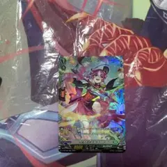 好音の芽吹きグラシア FR