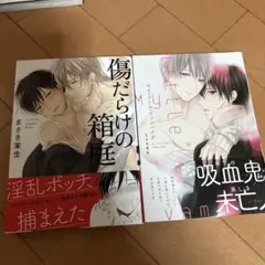 まざき茉生 ボーイズラブ漫画2冊セット