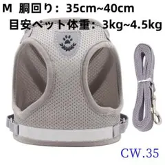 Item thumbnail for item 9e8a03cb-2e46-4b48-ae1f-5f04151c15c1