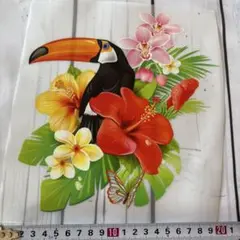 179 オオハシ鳥と花のアイロン転写シート（大）