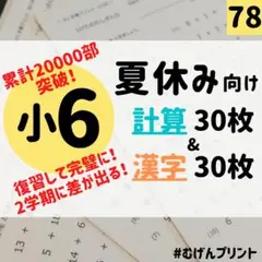【新発売！夏休み限定】78.小6計算漢字60枚、自由研究、中学受験教材、勉強法