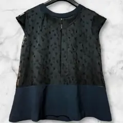 DANIEL HECTER フレンチスリーブ シースルードット トップス