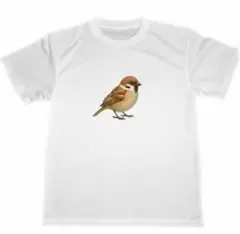 ドライ　Tシャツ　スズメ　雀　野鳥　バードウォッチング　アニマル　グッズ