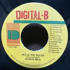 Norris Man - Jah Is The Ruler レゲエレコード