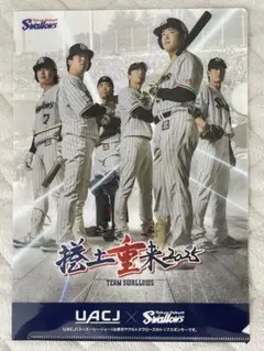 〈非売品〉東京ヤクルトスワローズクリアファイル