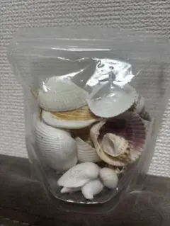 Item thumbnail for item c13726c9-e69f-4796-ad6a-49e10c82d387