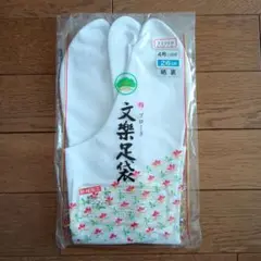 Item thumbnail for item 1e23bf46-e8ac-4de6-9dce-9740d9f82b55