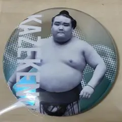 大相撲　風賢央　関取全員集合缶バッジ　ガチャ（7月名古屋場所）
