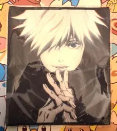 Item thumbnail for item c4774267-f5cf-4c87-8d70-1c9b8f6d5700