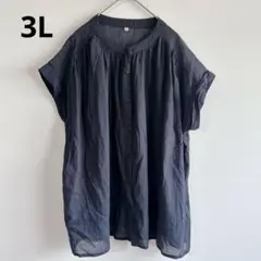 4861【美品】3Lバンドカラー半袖ブラウス　透け感シアー　コットン100%濃紺