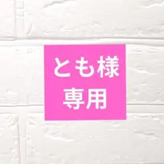 ✤スイスイまんまるアザラシちゃん✤　✤エコクラフト小物入れ✤