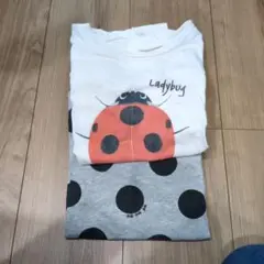 【中古品】インセクトコレクション 半袖Tシャツ　2枚セット　140-150