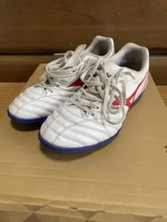 モナルシーダ トレシュー