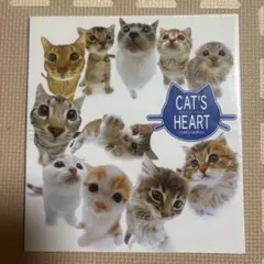 キャッツハート