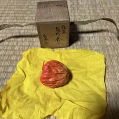 Item thumbnail for item 652f09b9-443a-479e-b0e6-bfa833fe34ee