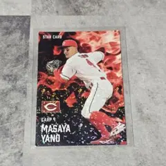 カルビー プロ野球 2025 矢野