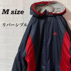 Item thumbnail for item 08037d08-1631-46a6-bc94-742c354e966c