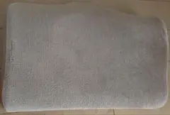 Item thumbnail for item d766d538-daf1-49b3-bd9f-19601d46360c