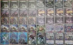 2025年最新】アナカラーシャコガイルの人気アイテム - メルカリ