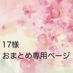 【17様おまとめ専用ページ】