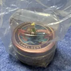 ティンカーベル フィギュア付き　アクセサリーケース　ファンタジースプリングス