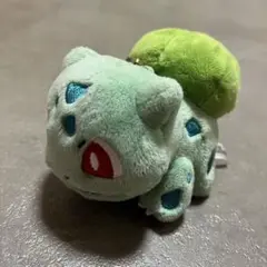 ポケモン　フシギダネ　マスコット　キーホルダー