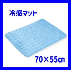 Item thumbnail for item 0cf3e2cc-6e1f-4e08-93d6-c47e7571c2dd