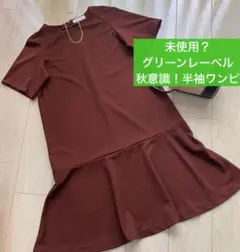 未使用？グリーンレーベル ★秋意識！半袖 ワンピース