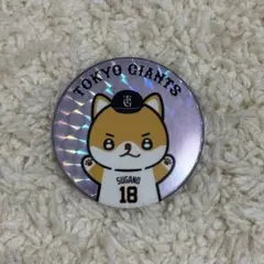 菅野智之　缶バッジ