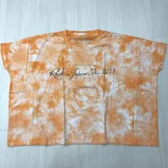 ROCK IN JAPAN 2017 ロッキンジャパン Tシャツ タイダイ