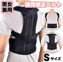Item thumbnail for item 25d7d877-3d53-47f0-8c14-92d90e38fc24