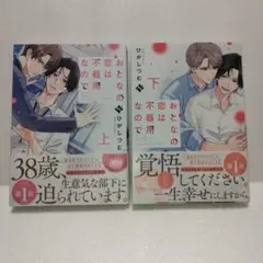 BL★　おとなの恋は不器用なので(上下巻)　全巻・完結セット　ひがしづむ