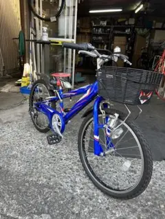 サカモトテクノ コスモフューチャー 22インチ